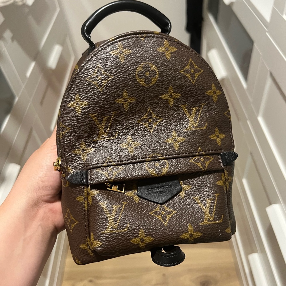 Louis Vuitton Palm Springs Mini
